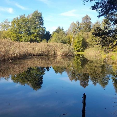 Osada Pod Lasem Andrychow Bagian luar foto