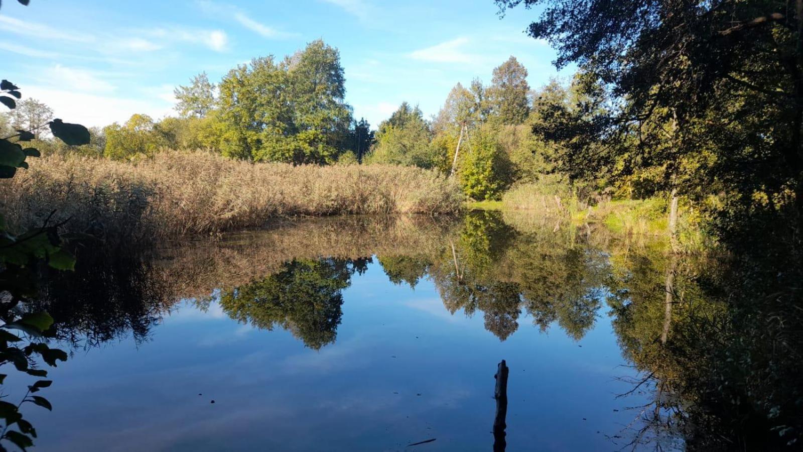 Osada Pod Lasem Andrychow Bagian luar foto