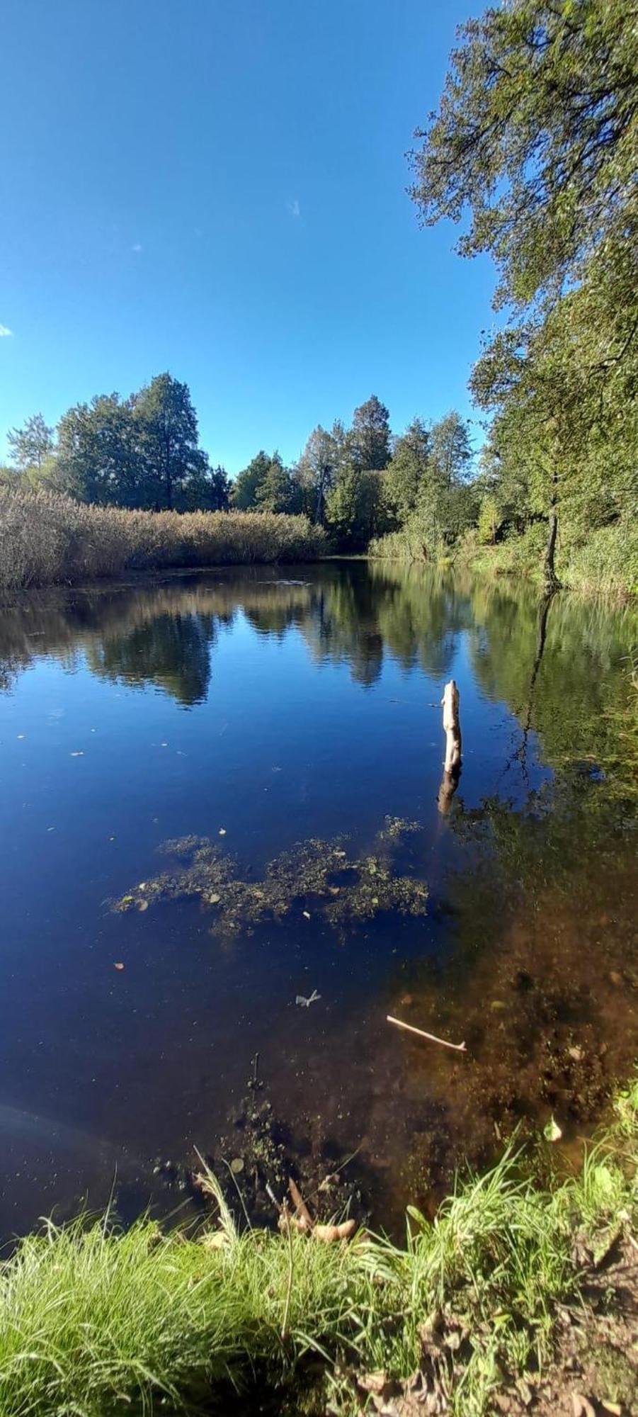 Osada Pod Lasem Andrychow Bagian luar foto